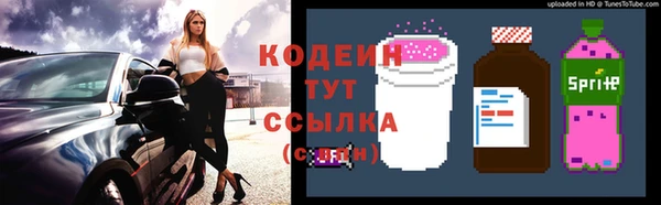 ECSTASY Покров