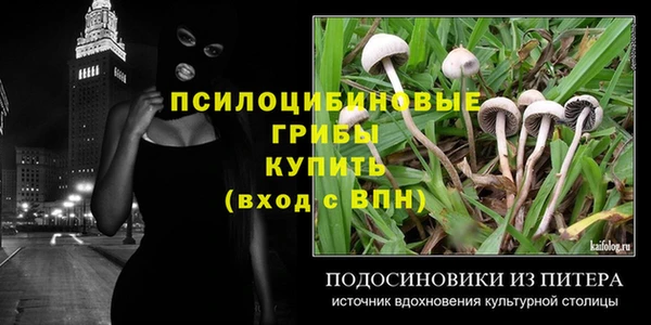 мяу мяу кристалл Переславль-Залесский