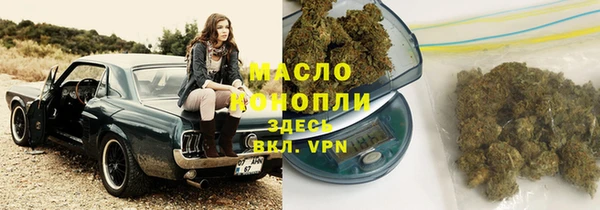 гидра Пересвет